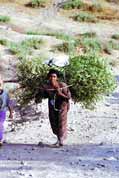 Tak toto je zp�sob jak odn�st pora�en� strom. Lalibela. Etiopie.