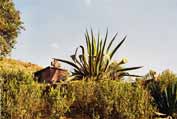 K�es�ansk� hrob. Lalibela. Etiopie.