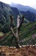 Zem�d�lsk� pol��ka. Ji�n� ��st Baliemsk�ho �dol�. Papua, Indon�sie.