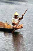 �ivot na jeze�e Inle. Myanmar (Barma).