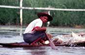 �ivot na jeze�e Inle. Myanmar (Barma).