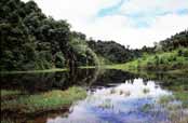 Jez�rko. Oblast Kalaw. Myanmar (Barma).