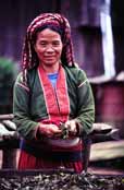 Su�en� �aje. Oblast okolo vesnice Kalaw. Myanmar (Barma).