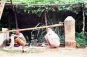 Pran� pr�dla. Myanmar (Barma).
