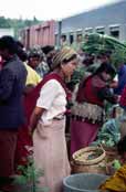 Na �elezni�n�m n�dra��. Oblast okolo vesnice Kalaw.  Myanmar (Barma).