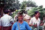 Prodej kv�tin na �elezni�n�m n�dra��. Obchodn�ci z vlaku kv�tiny vykupuj� a voz� je do hlavn�ho m�sta Yangonu, kde je se ziskem prod�vaj�. Barm�nci nos� kv�tiny do chr�m� jako ob�tiny. Oblast okolo vesnice Kalaw.  Myanmar (Barma).