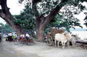 U �eky Ayeyarwady v Mandalay. Myanmar (Barma).