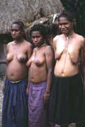 Domorodci z kmene Dani. Papua, Indon�sie.