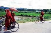 Mni�i. Okol� vesnice Hsipaw. Myanmar (Barma).