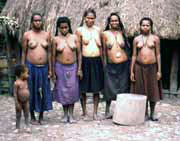 Domorodci z kmene Dani. Papua, Indon�sie.