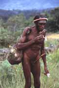Domorodec z kmene Dani si nese v ta�ce z orchideov�ch vl�ken sladk� brambory - bat�ty. Papua, Indon�sie.