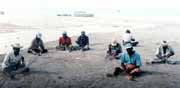 Ryb��i v Trincomalee (Kerakendy). Sr� Lanka.