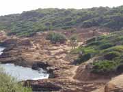 Tipaza. Al��rsko.