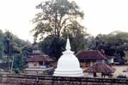 Dalada Maligawa (chr�m Budhova zubu) - chr�m kde je ulo�en svat� budh�v zub. Kendy. Sr� Lanka.