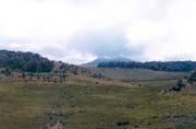 N�horn� planina Horton Plains. Sr� Lanka.