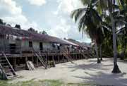Saham longhouse - 140 km od Pontianaku. Kalimantan, Indon�sie.