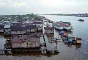�ivot na �ece ve m�st� Pontianak. Kalimantan, Indon�sie.