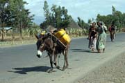 Vesnice ji�n� od Addis Abbeby. Etiopie.