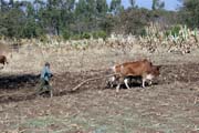 Vesnice ji�n� od Addis Abbeby. Etiopie.