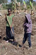 Vesnice ji�n� od Addis Abbeby. Etiopie.