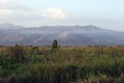 Okol� Arba Minche. Etiopie.
