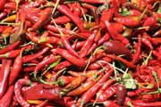 Chilli, trh v Chencha. Jih,  Etiopie.