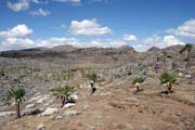 N�rodn� park Bale Mountain. Jih,  Etiopie.