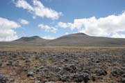 N�rodn� park Bale Mountain. Etiopie.