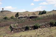 N�rodn� park Bale Mountain. Etiopie.