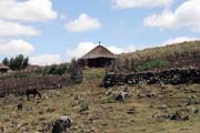 N�rodn� park Bale Mountain. Etiopie.