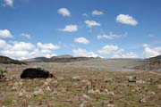 Krajina v N�rodn�m parku Bale mountains. Jih,  Etiopie.