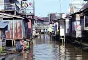 �ivot na ���n�ch kan�lech v Banjarmasinu. Kalimantan, Indon�sie.