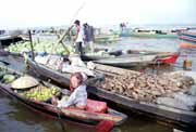 Plovouc� trh v Banjarmasinu. Kalimantan, Indon�sie.