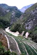 Pol��ka sladk�ch brambor. Ji�n� ��st Baliemsk�ho �dol�. Papua, Indon�sie.