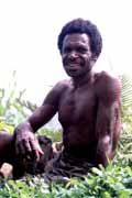 Domorodec z kmene Dani. Papua, Indon�sie.
