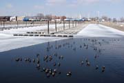 Lake City, �eka Mississippi, Minnesota. Spojen� st�ty americk�.