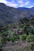 Tradi�n� vesnice Dani�. Papua, Indon�sie.