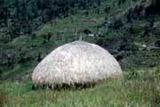 Ch�� kmene Dani. Indon�sie.