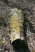 Osceola, �dol� �eky St Croix, Wisconsin. Spojen� st�ty americk�.