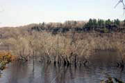 �dol� �eky St Croix, Minnesota. Spojen� st�ty americk�.