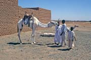 Velbloud� trh na okraji trhu Lybia. Chart�m (Omdurman). S�d�n.