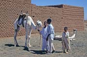 Velbloud� trh na okraji trhu Lybia. Chart�m (Omdurman). S�d�n.