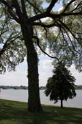 Washington DC. Spojen� st�ty americk�.