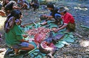 Na poh�ebn� slavnosti. P��prava j�dla na jednu z mnoha hostin. Oblast Tana Toraja. Indon�sie.