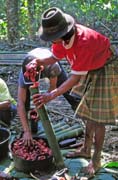 Na poh�ebn� slavnosti. P��prava j�dla na jednu z mnoha hostin. Oblast Tana Toraja. Indon�sie.