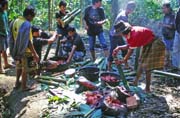 Na poh�ebn� slavnosti. P��prava j�dla na jednu z mnoha hostin. Oblast Tana Toraja. Indon�sie.
