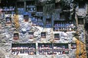 Tradi�n� hroby ve vesnici Lemo. Na galeri�ch p�ed hroby stoj� figurky tau tau. Oblast Tana Toraja Sulawesi,  Indon�sie.
