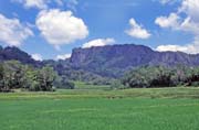 R��ovi�t�, oblast Tana Toraja. Indon�sie.