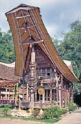 Tradi�n� d�m tongkonan, oblast Tana Toraja. Indon�sie.