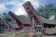 Tradi�n� domy tongkonan, oblast Tana Toraja. Indon�sie.